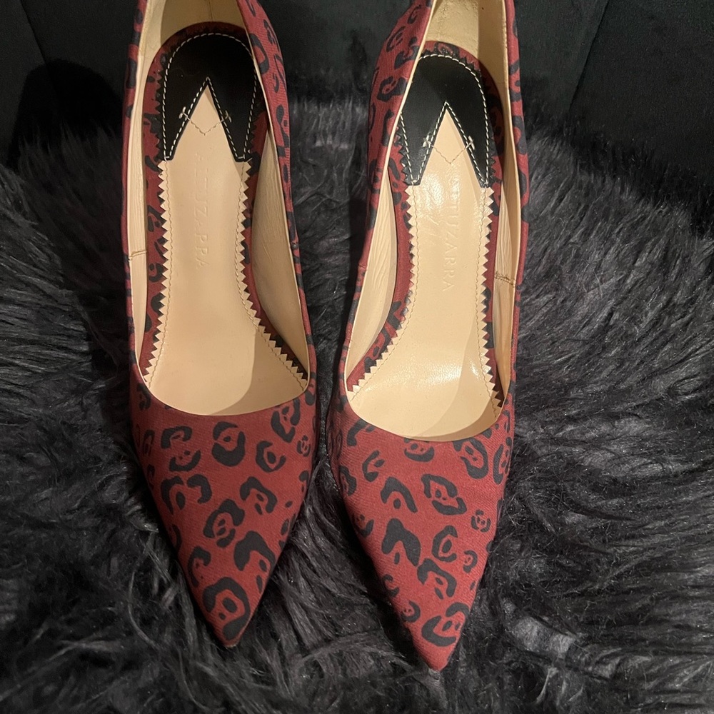 Altuzarra Pointed Stilettos